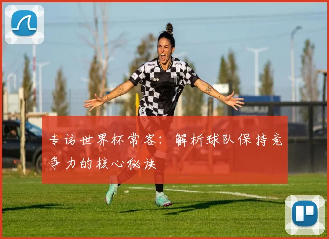 专访世界杯常客：解析球队保持竞争力的核心秘诀