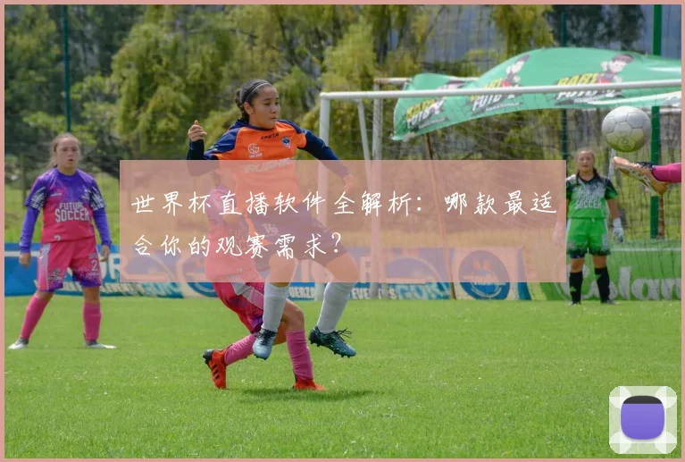 世界杯直播软件全解析：哪款最适合你的观赛需求？