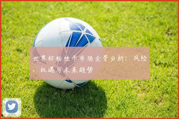 世界杯粉丝币市场全景分析：风险、机遇与未来趋势