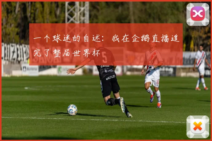 一个球迷的自述:我在企鹅直播追完了整届世界杯