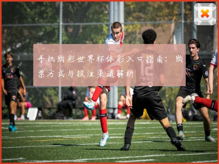 手机购彩世界杯体彩入口指南:购票方式与投注渠道解析