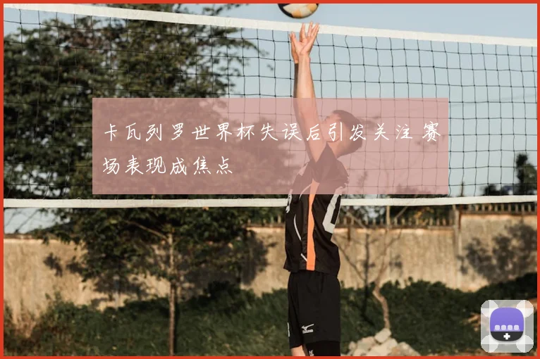 卡瓦列罗世界杯失误后引发关注 赛场表现成焦点